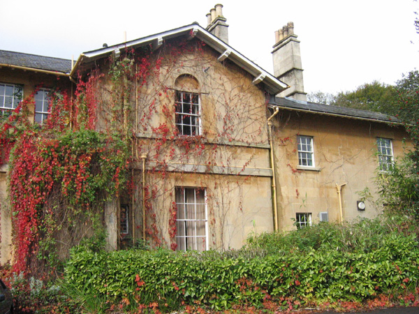 Image2