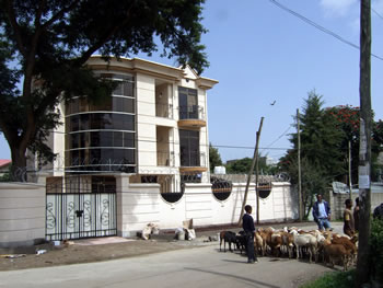 One of the many new villas